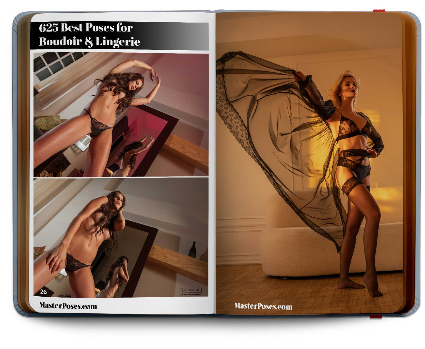Les 625 meilleures poses pour boudoir et lingerie - Livre numérique