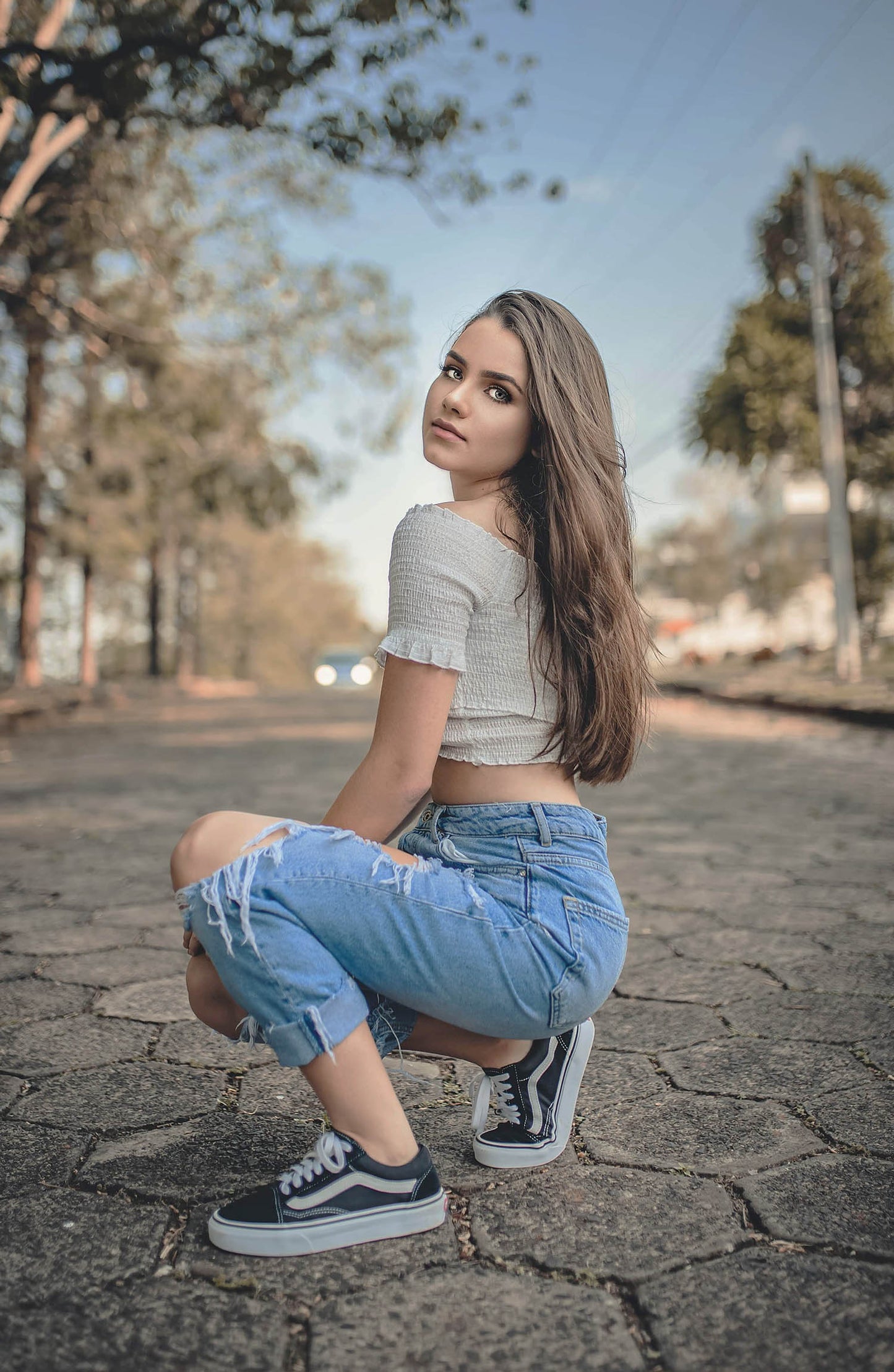 Faon - Lightroom et Camera Raw <tc>Presets</tc>