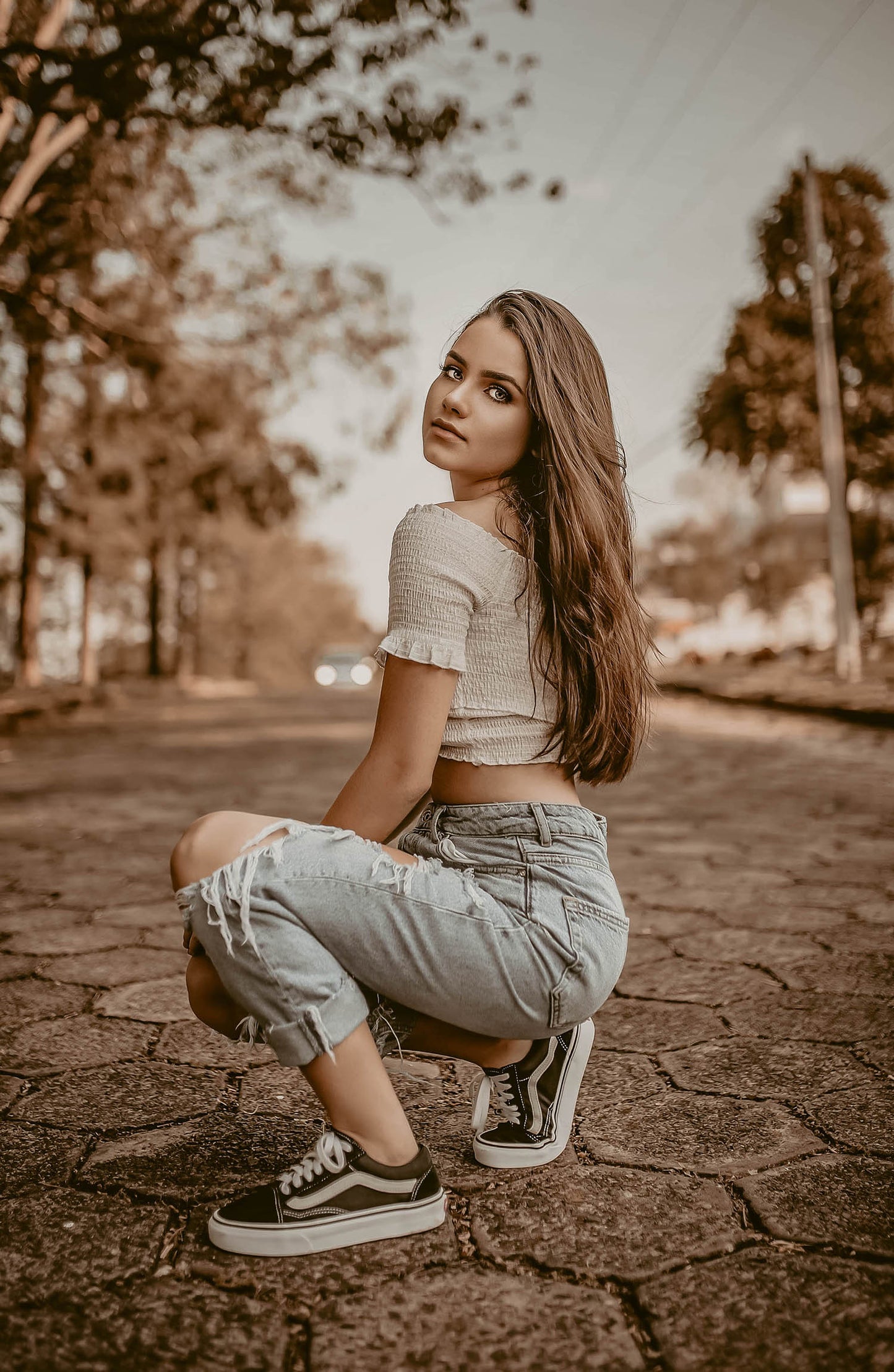 Faon - Lightroom et Camera Raw <tc>Presets</tc>
