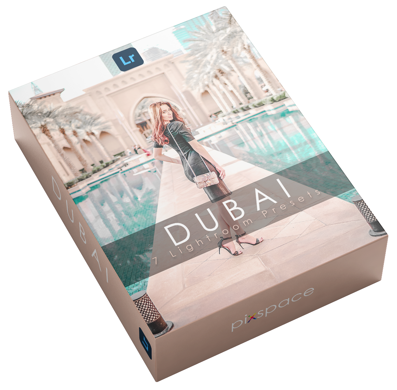 Dubaï - Lightroom et Camera Raw <tc>Presets</tc>