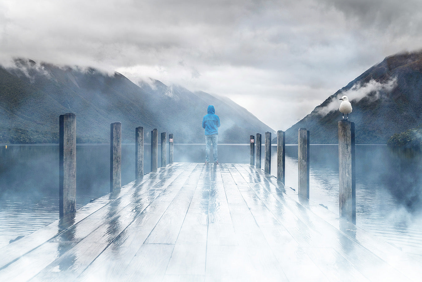 Fog - Overlays