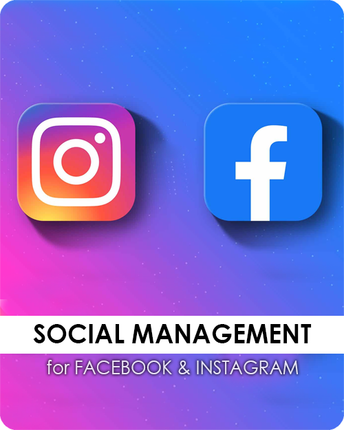 Gestion des médias sociaux