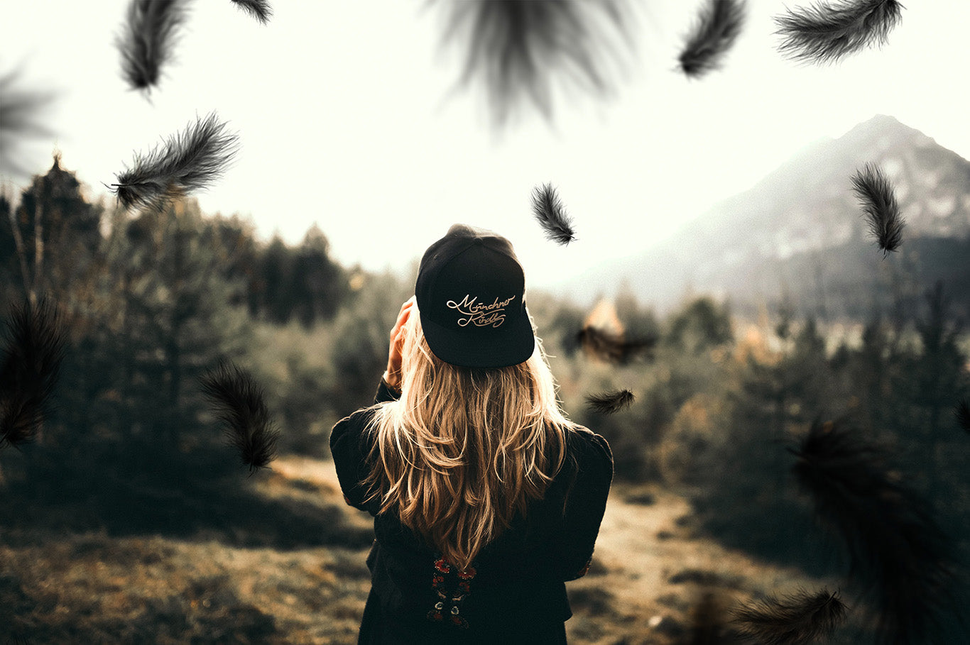 Plumes noires - Superpositions