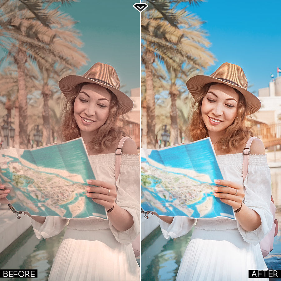 Dubaï - Lightroom et Camera Raw <tc>Presets</tc>
