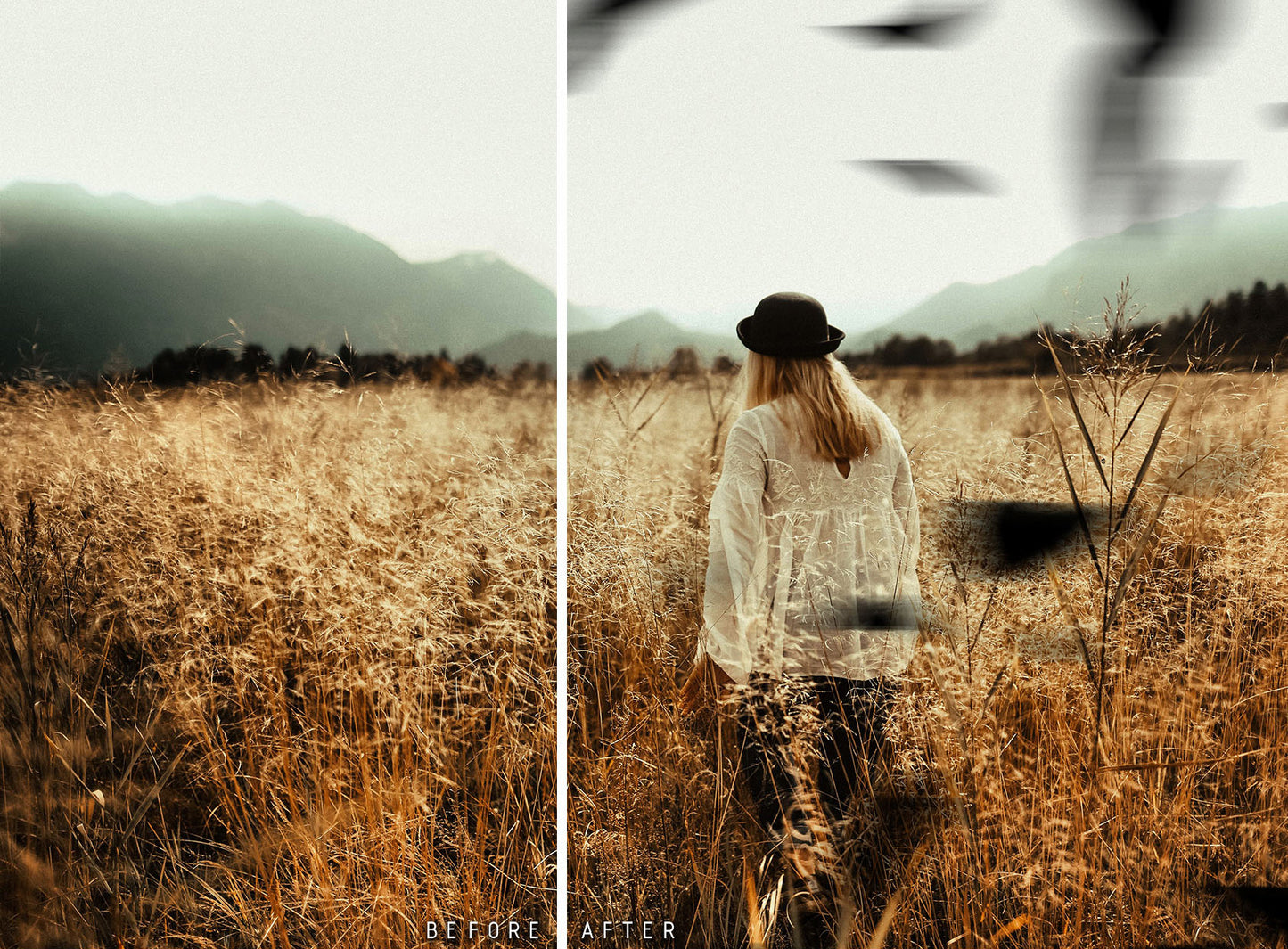 Plumes noires - Superpositions