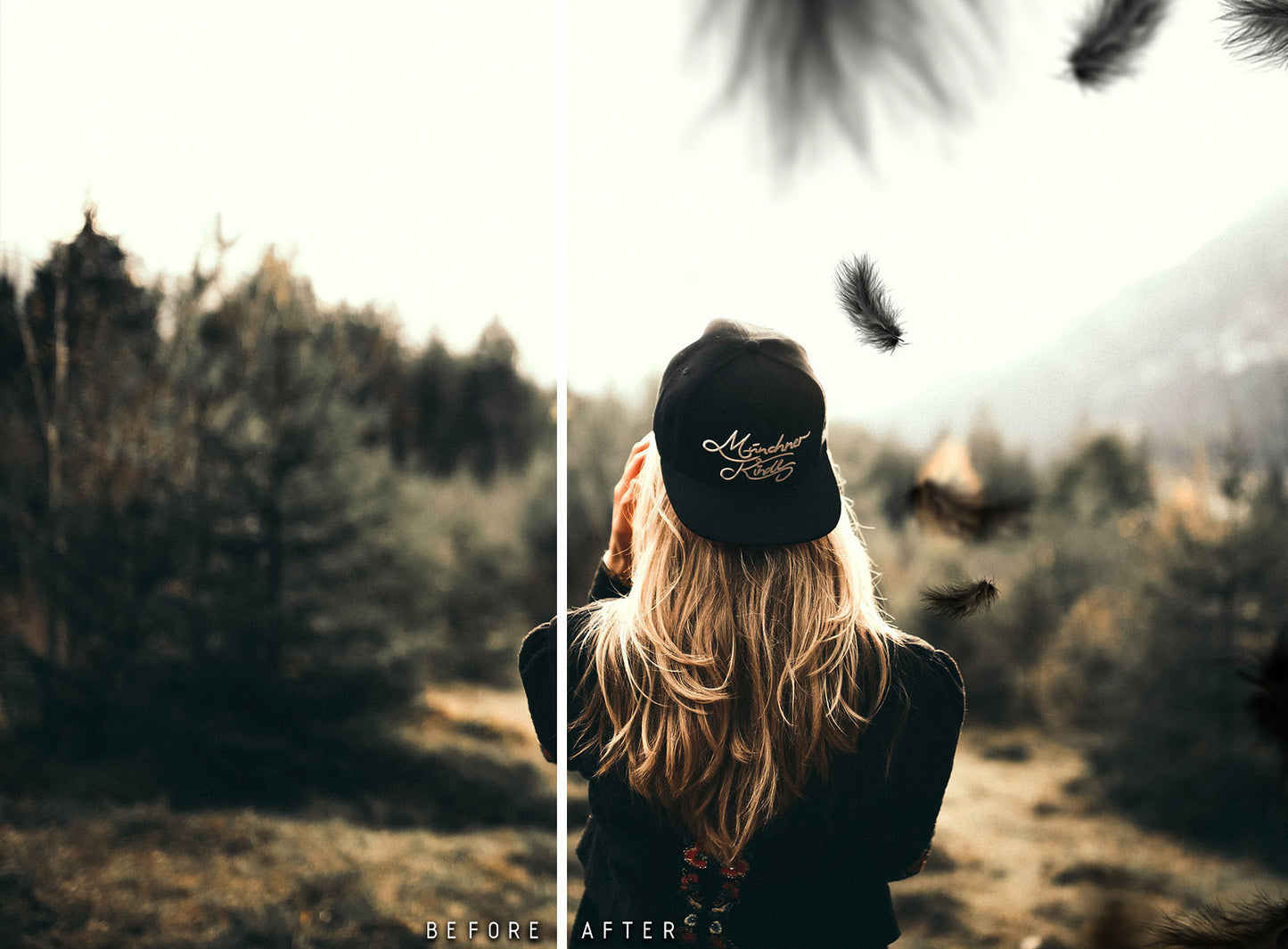 Plumes noires - Superpositions