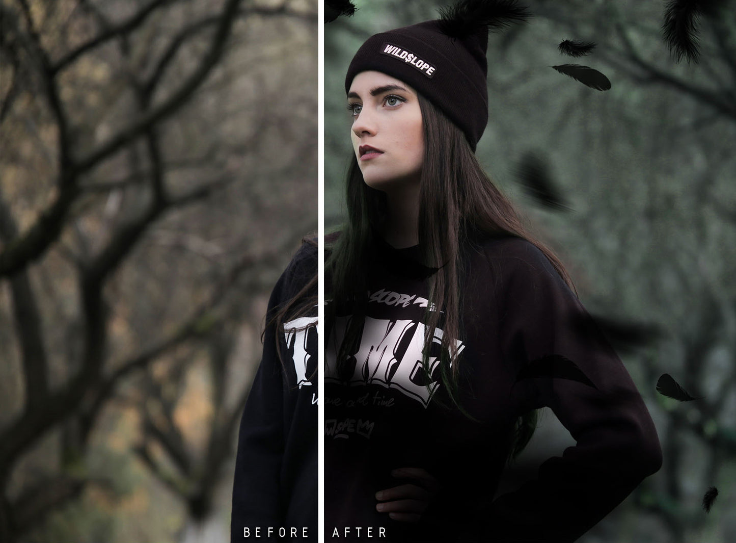 Plumes noires - Superpositions