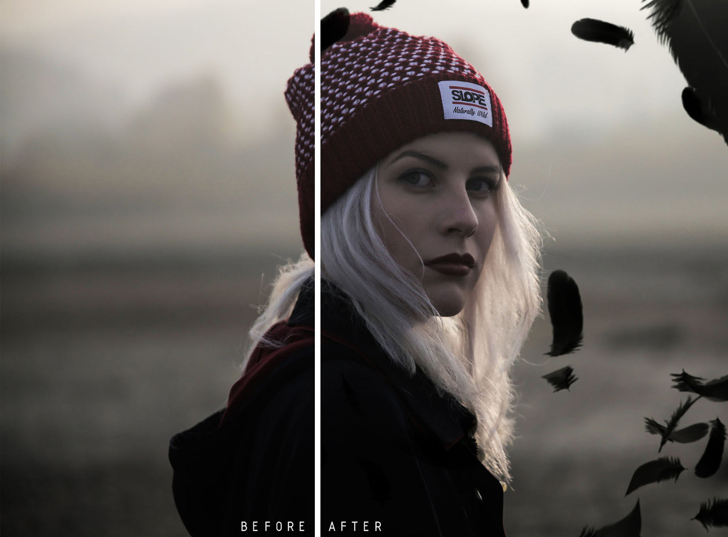 Plumes noires - Superpositions
