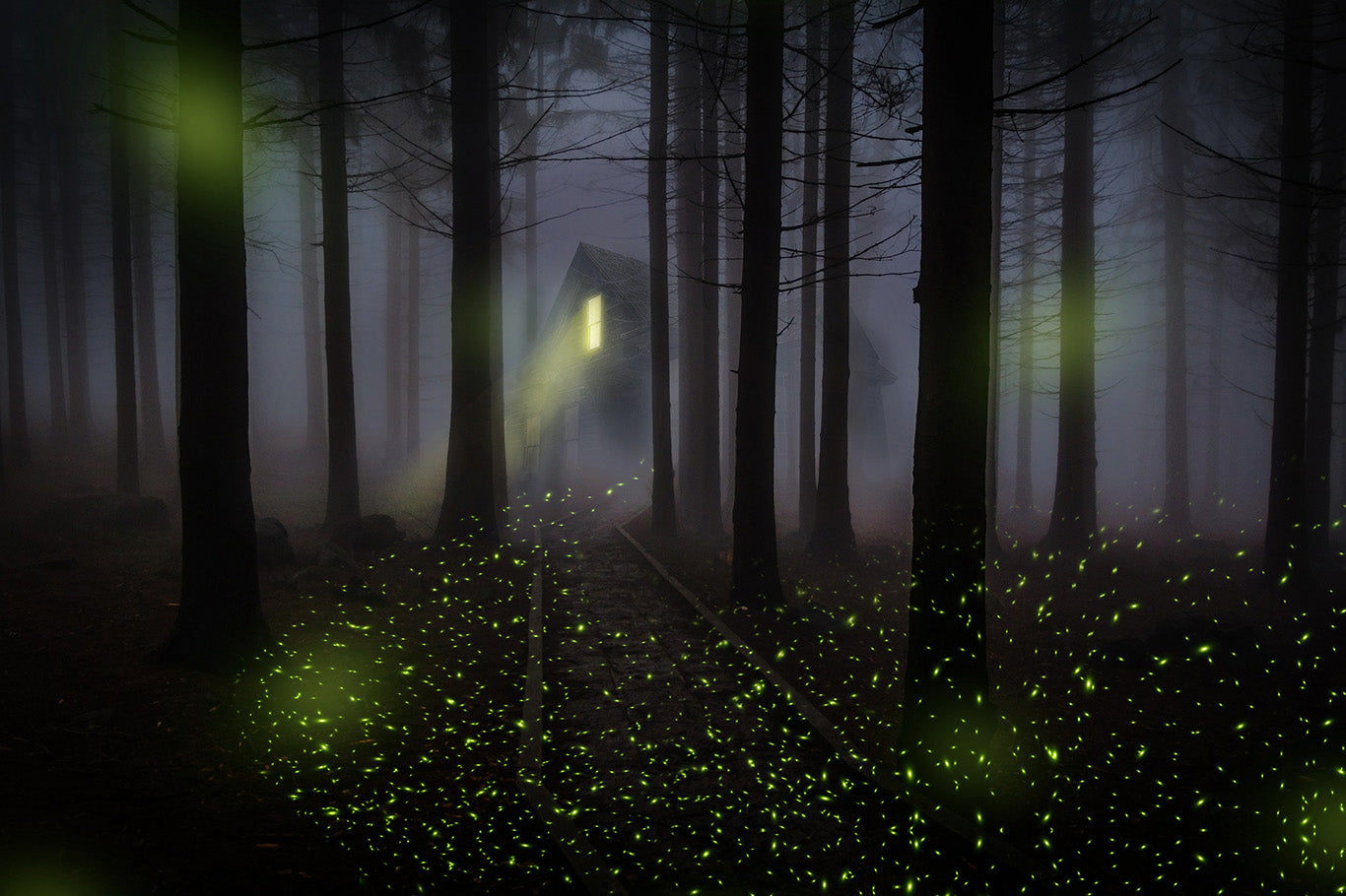 fireflies - Overlays