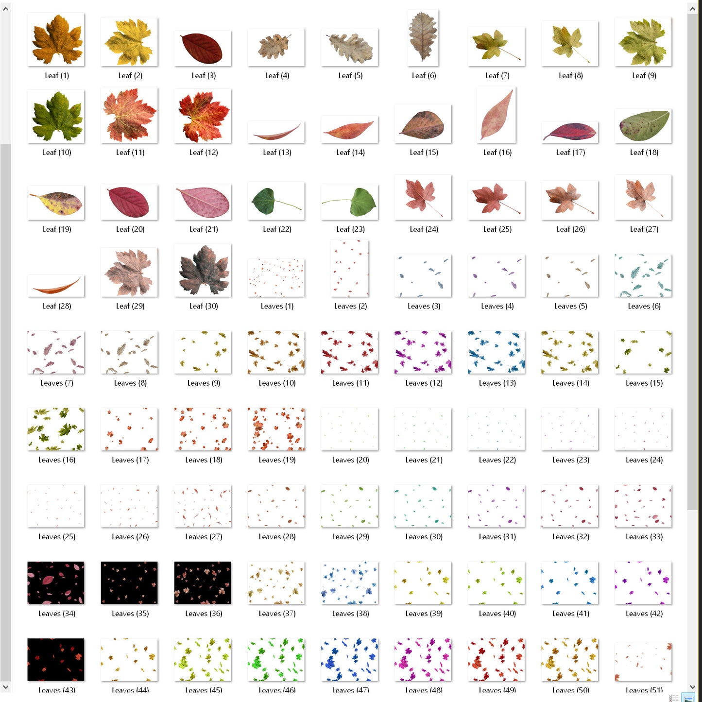 Leaf - Overlays