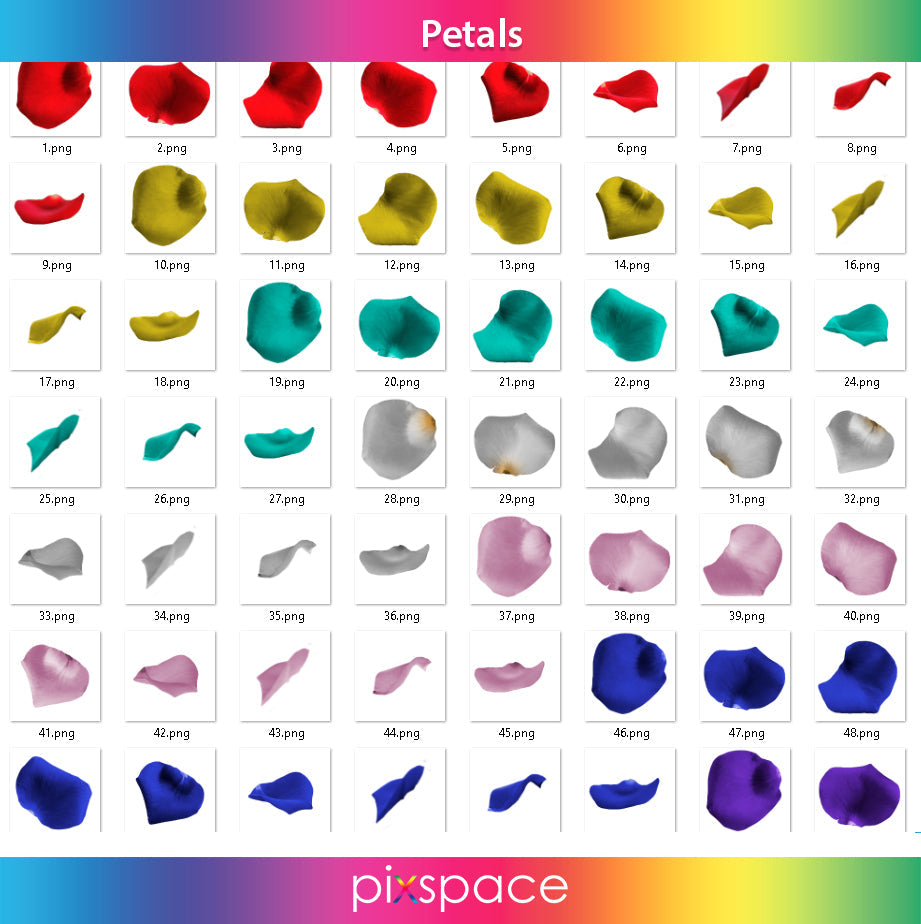 Affinity Photo - +2000 superpositions - Mises à jour gratuites à vie