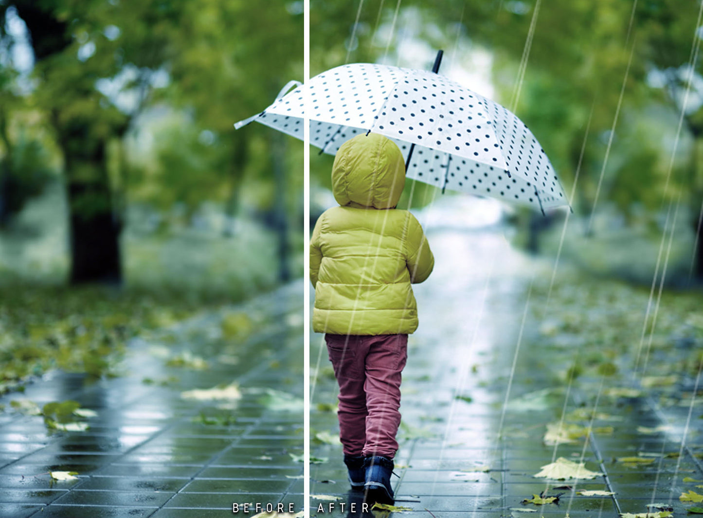 Rain - Overlays