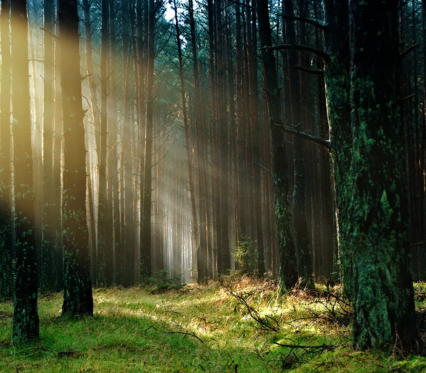 Rayons lumineux - Superpositions
