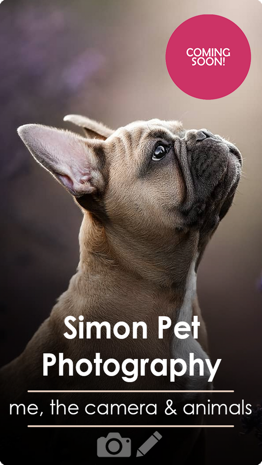 Simon Pet Photoghraphy | Me, the camera & Animals | Shooting & Editing Class