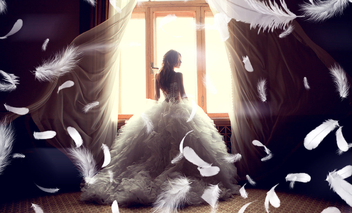 Plumes blanches - Superpositions