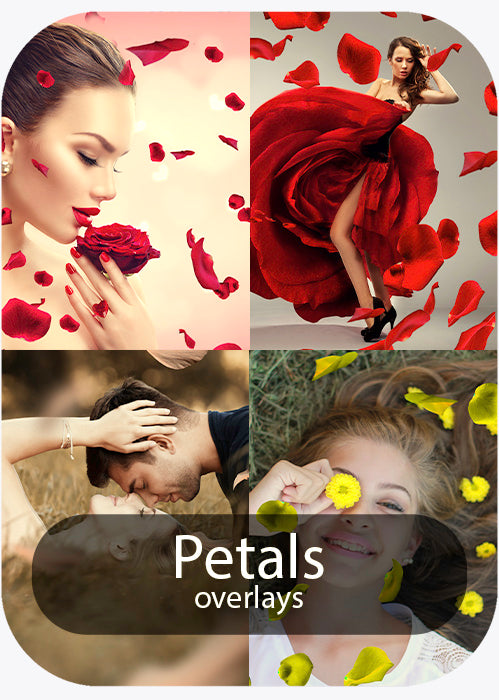 Petals - Overlays
