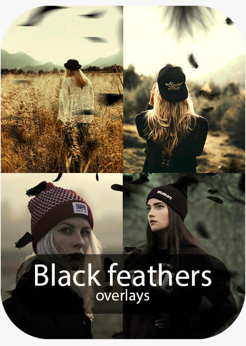 Black feathers - Overlays