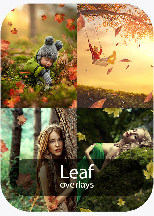 Leaf - Overlays