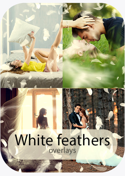 White Feathers -Overlays